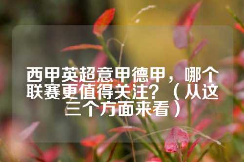 博格巴回归