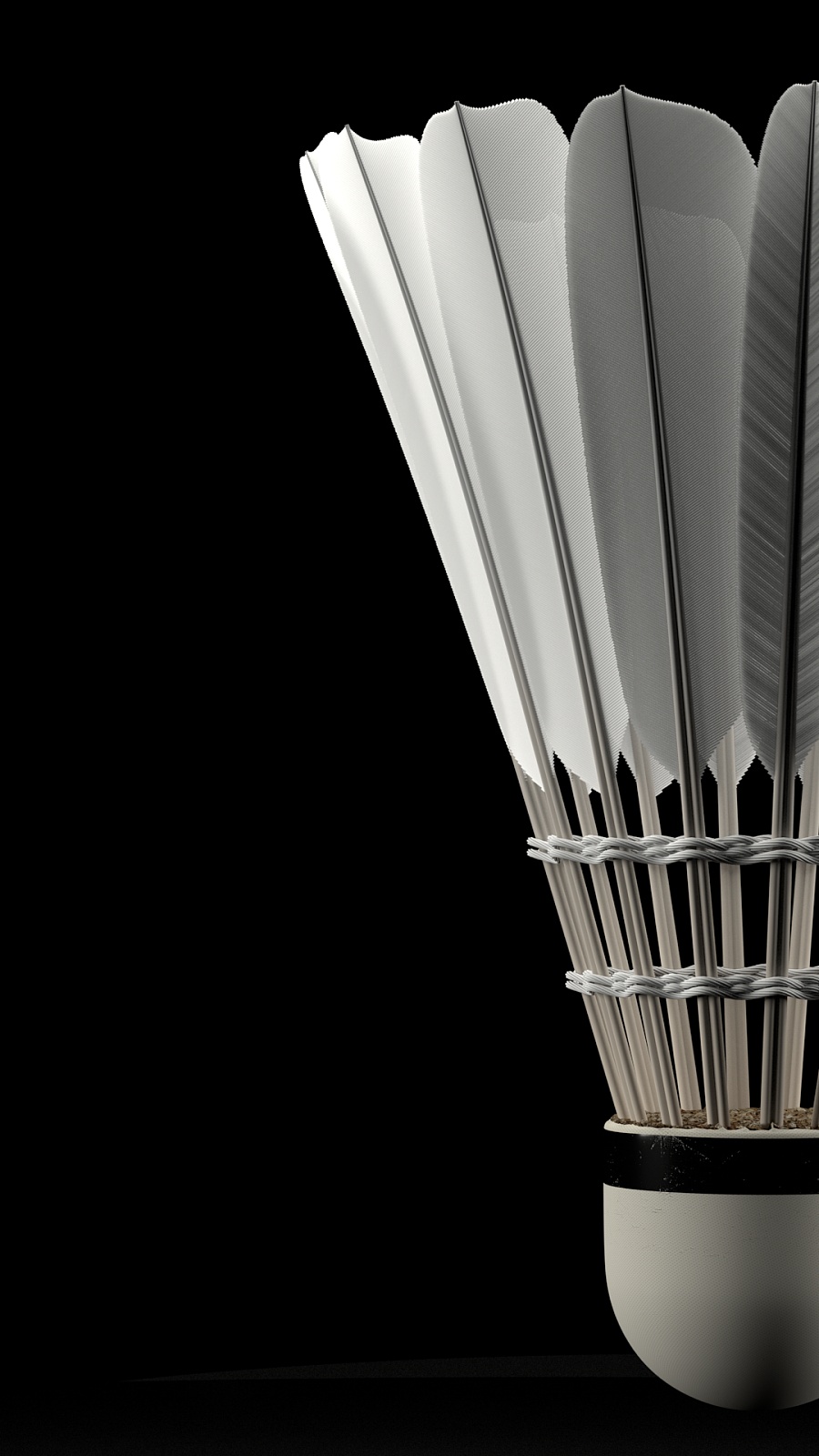 比赛期间 比赛期间