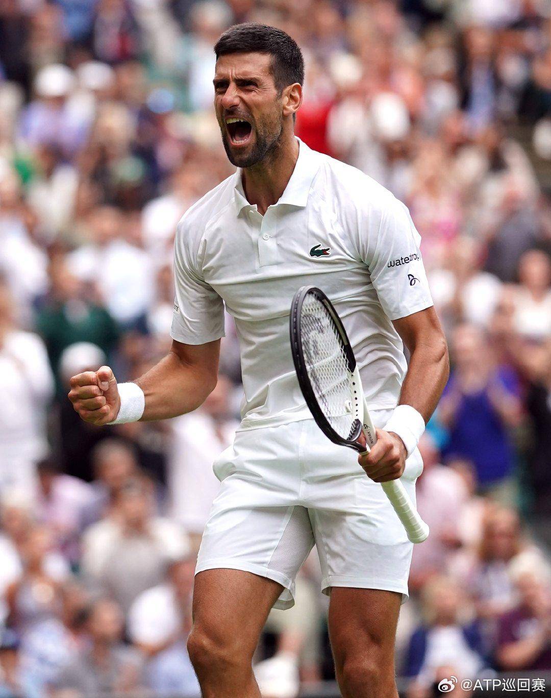 窗口选择 窗口选择